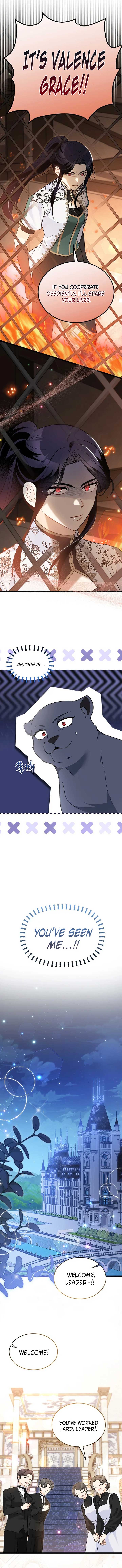 Read The Symbiotic Relationship Between the Rabbit and the Black Panther Manga Online