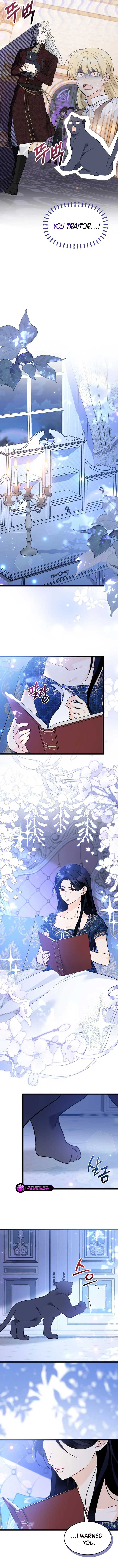 Read The Symbiotic Relationship Between the Rabbit and the Black Panther Manga Online