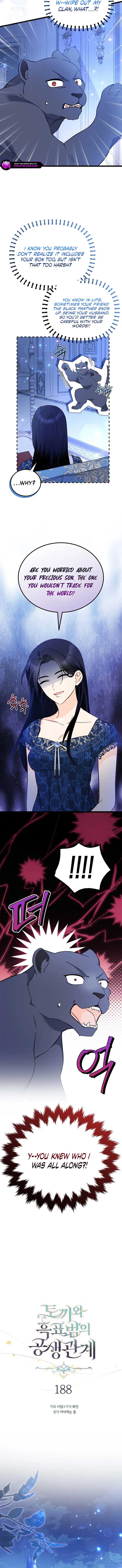 Read The Symbiotic Relationship Between the Rabbit and the Black Panther Manga Online