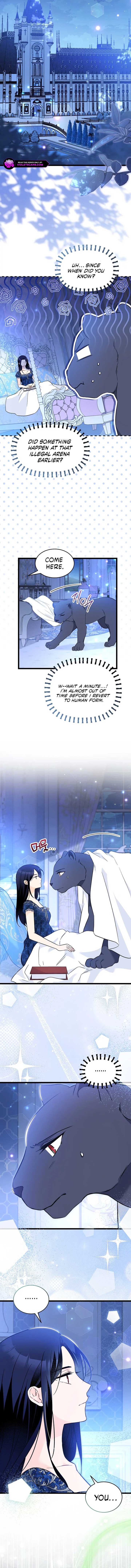 Read The Symbiotic Relationship Between the Rabbit and the Black Panther Manga Online