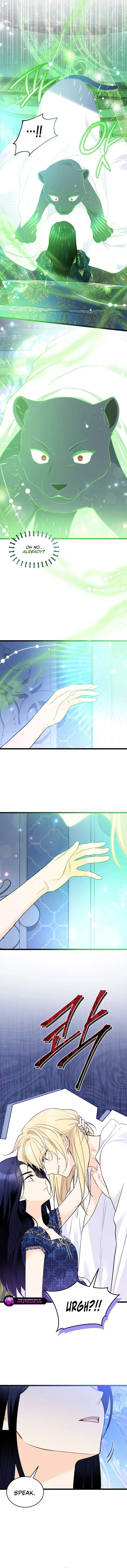 Read The Symbiotic Relationship Between the Rabbit and the Black Panther Manga Online