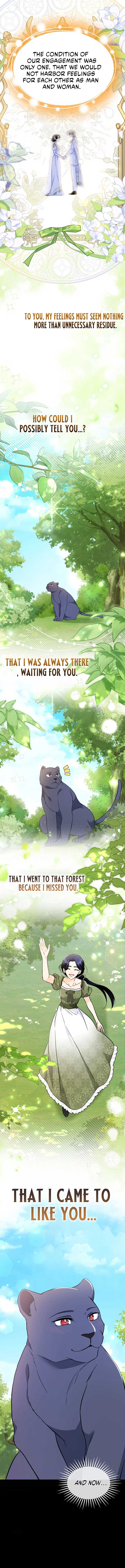 Read The Symbiotic Relationship Between the Rabbit and the Black Panther Manga Online