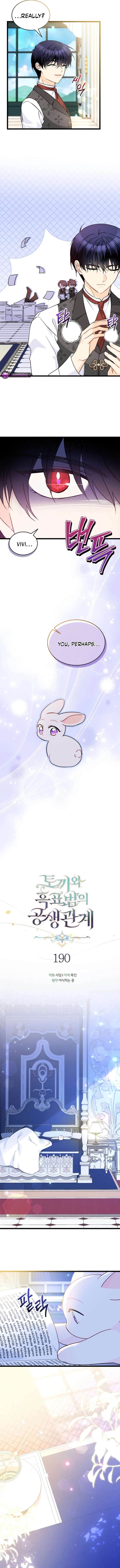 Read The Symbiotic Relationship Between the Rabbit and the Black Panther Manga Online