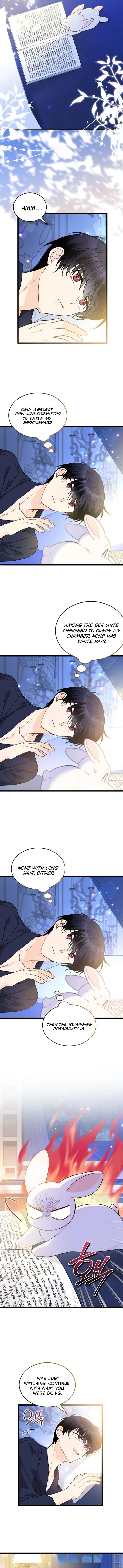 Read The Symbiotic Relationship Between the Rabbit and the Black Panther Manga Online