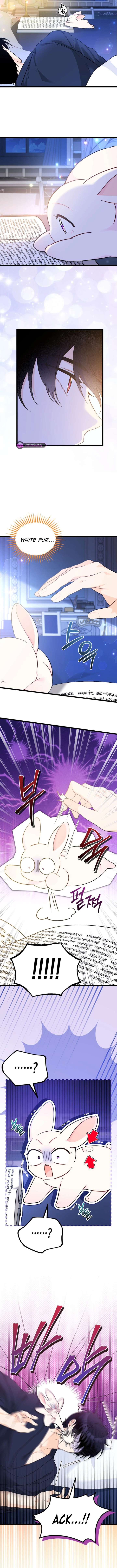 Read The Symbiotic Relationship Between the Rabbit and the Black Panther Manga Online