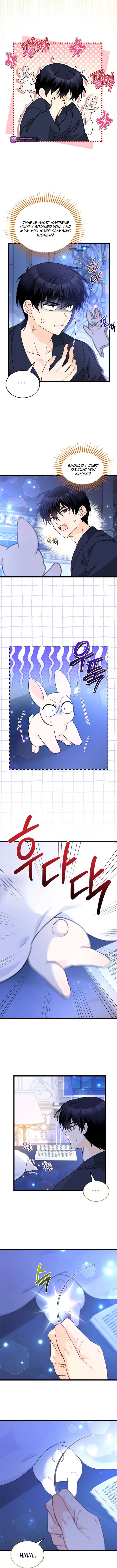 Read The Symbiotic Relationship Between the Rabbit and the Black Panther Manga Online