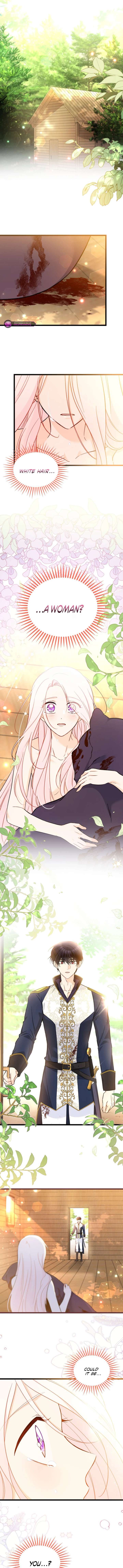 Read The Symbiotic Relationship Between the Rabbit and the Black Panther Manga Online