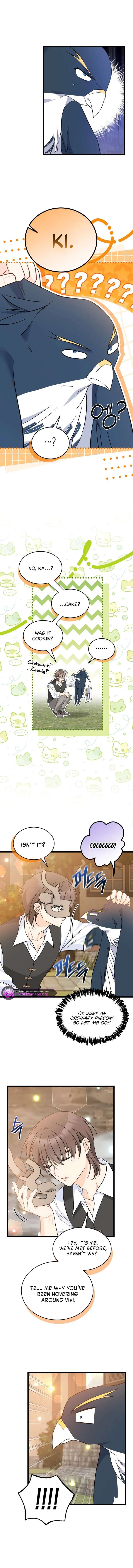 Read The Symbiotic Relationship Between the Rabbit and the Black Panther Manga Online