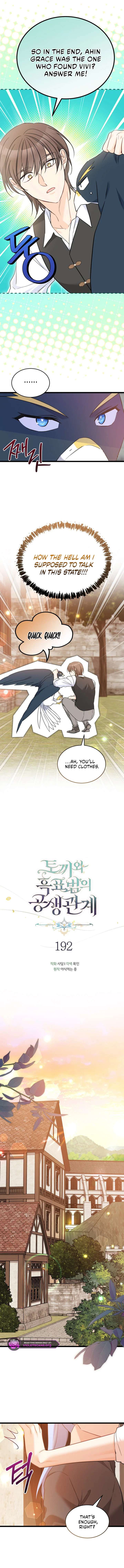 Read The Symbiotic Relationship Between the Rabbit and the Black Panther Manga Online