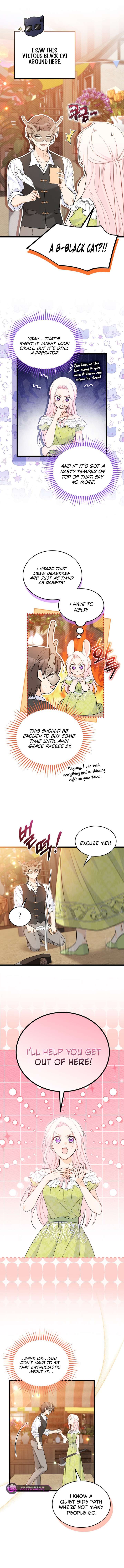 Read The Symbiotic Relationship Between the Rabbit and the Black Panther Manga Online