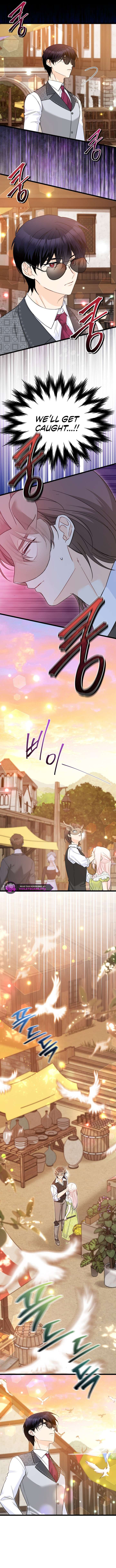 Read The Symbiotic Relationship Between the Rabbit and the Black Panther Manga Online