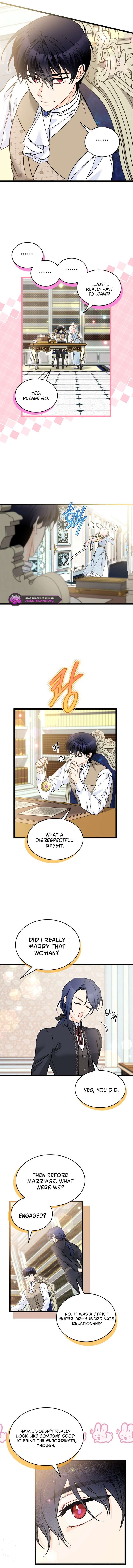 Read The Symbiotic Relationship Between the Rabbit and the Black Panther Manga Online