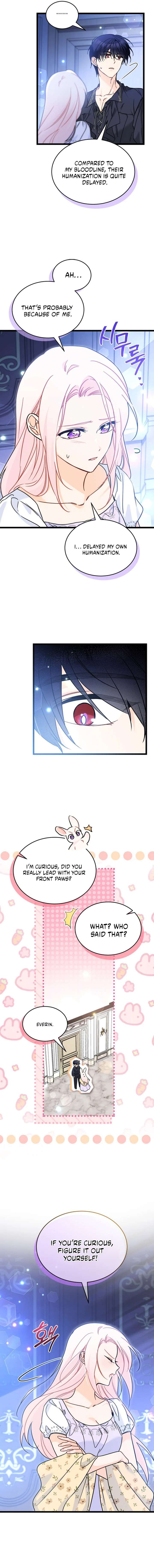 Read The Symbiotic Relationship Between the Rabbit and the Black Panther Manga Online