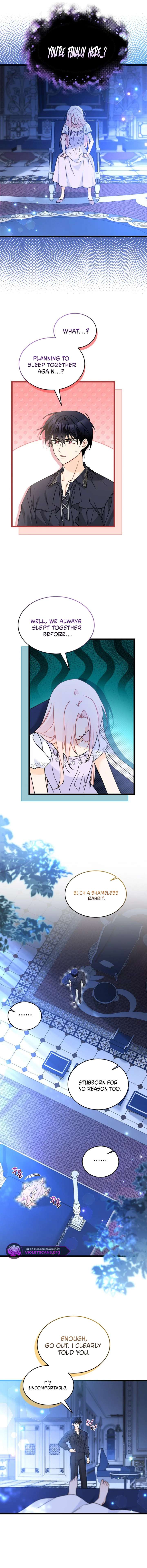 Read The Symbiotic Relationship Between the Rabbit and the Black Panther Manga Online