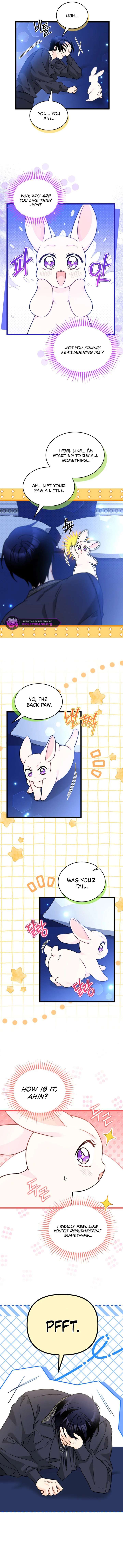 Read The Symbiotic Relationship Between the Rabbit and the Black Panther Manga Online