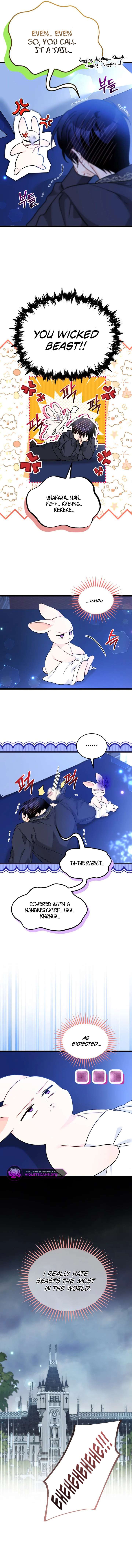 Read The Symbiotic Relationship Between the Rabbit and the Black Panther Manga Online