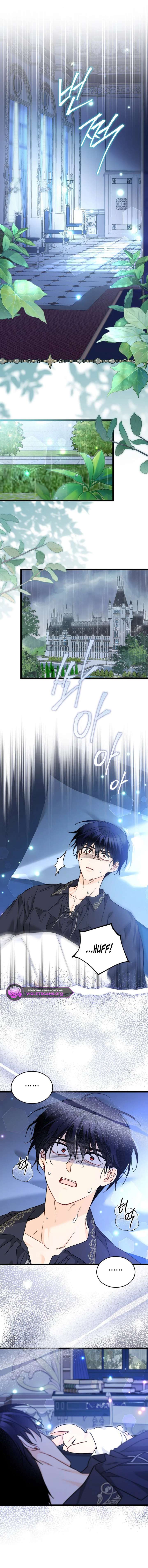 Read The Symbiotic Relationship Between the Rabbit and the Black Panther Manga Online