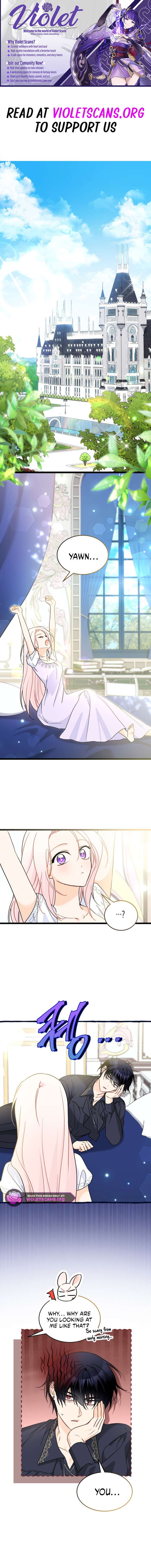 Read The Symbiotic Relationship Between the Rabbit and the Black Panther Manga Online