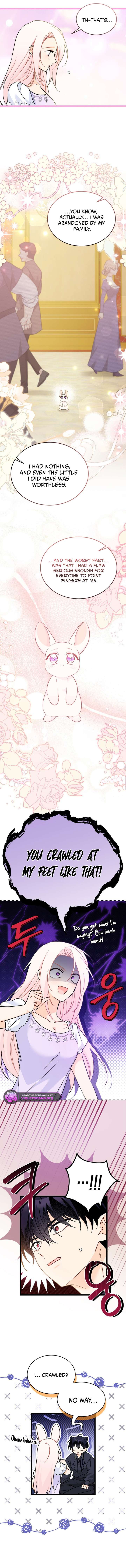 Read The Symbiotic Relationship Between the Rabbit and the Black Panther Manga Online