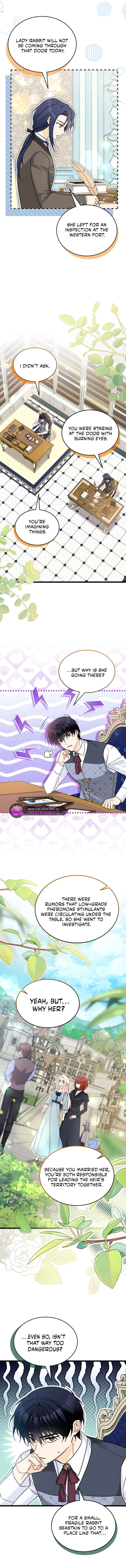 Read The Symbiotic Relationship Between the Rabbit and the Black Panther Manga Online