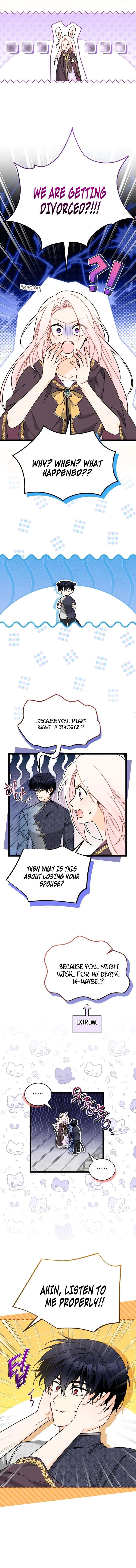 Read The Symbiotic Relationship Between the Rabbit and the Black Panther Manga Online