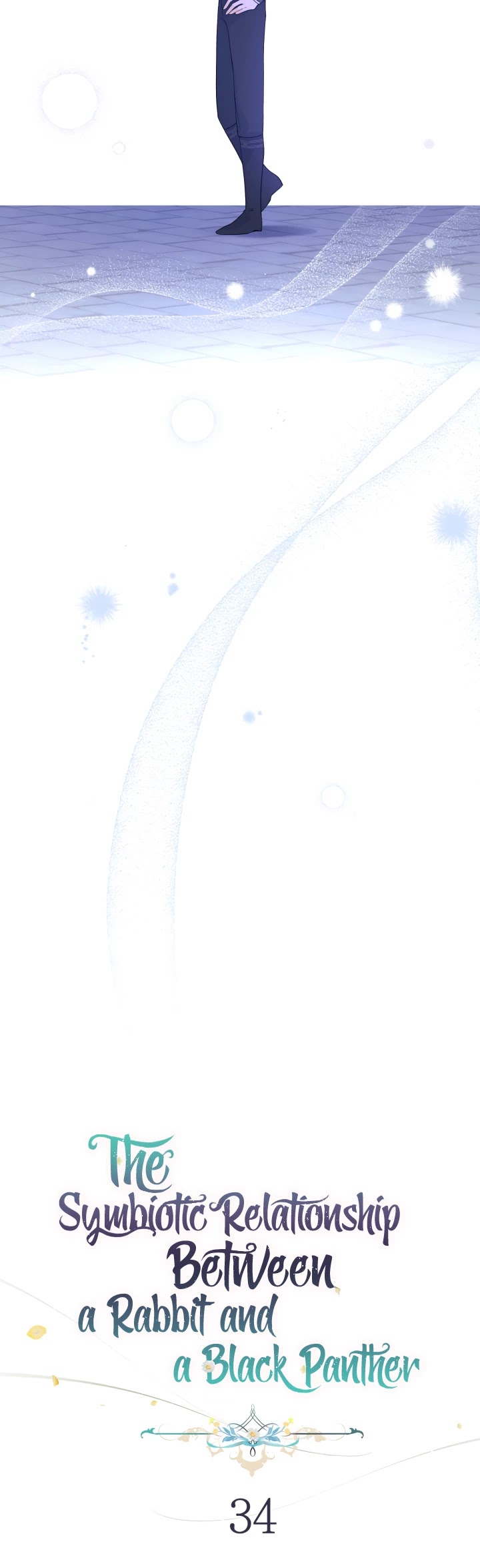 Read The Symbiotic Relationship Between the Rabbit and the Black Panther Manga Online