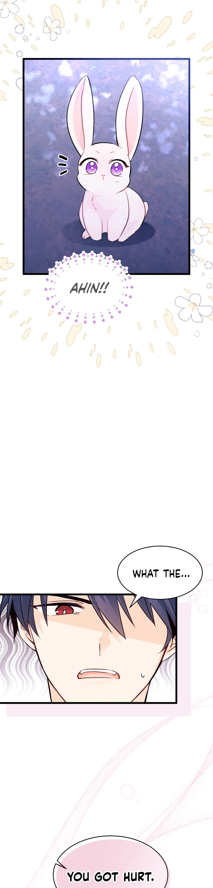 Read The Symbiotic Relationship Between the Rabbit and the Black Panther Manga Online