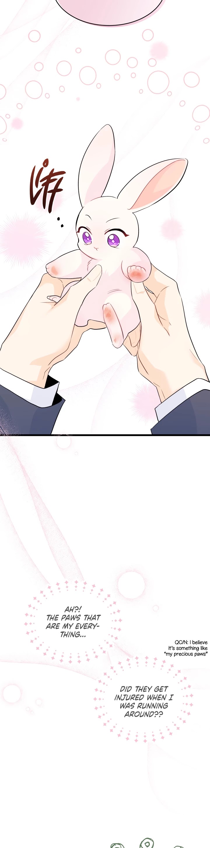 Read The Symbiotic Relationship Between the Rabbit and the Black Panther Manga Online