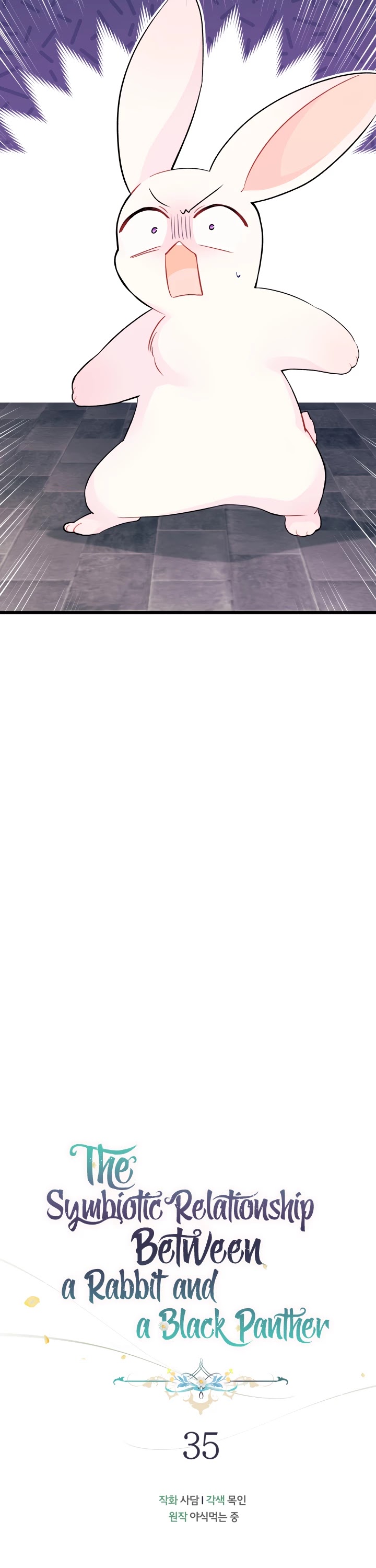 Read The Symbiotic Relationship Between the Rabbit and the Black Panther Manga Online