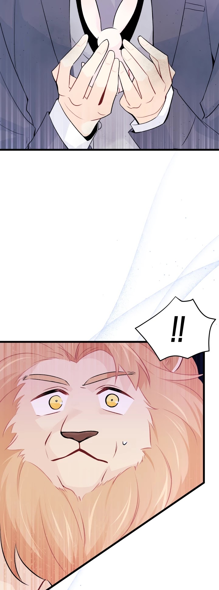 Read The Symbiotic Relationship Between the Rabbit and the Black Panther Manga Online