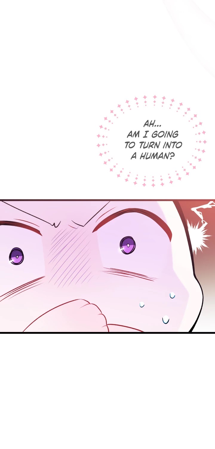 Read The Symbiotic Relationship Between the Rabbit and the Black Panther Manga Online