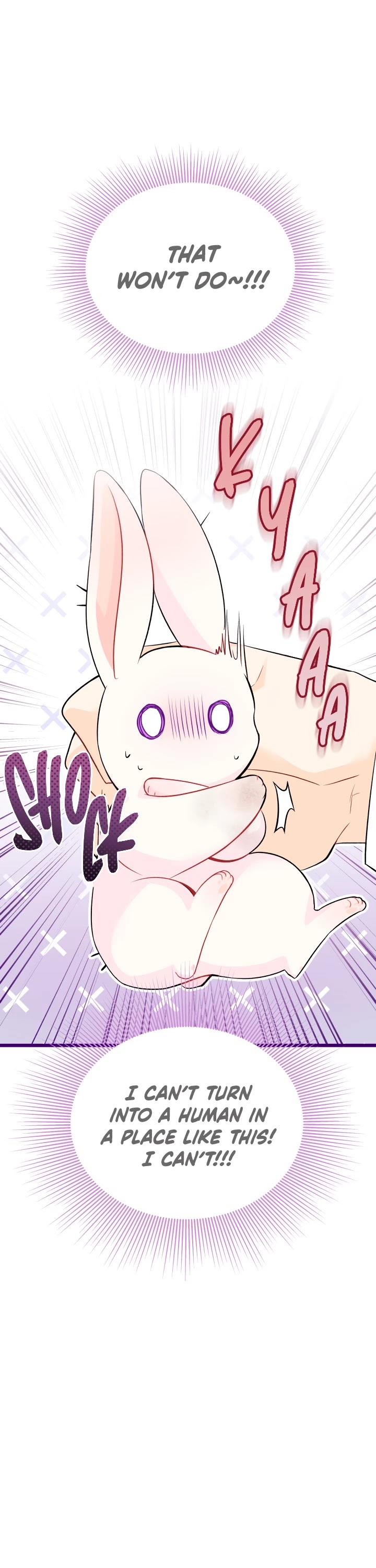 Read The Symbiotic Relationship Between the Rabbit and the Black Panther Manga Online