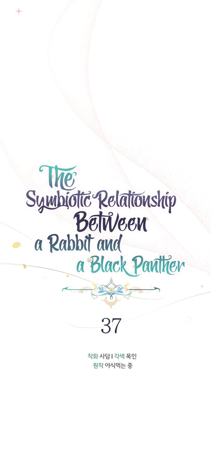 Read The Symbiotic Relationship Between the Rabbit and the Black Panther Manga Online