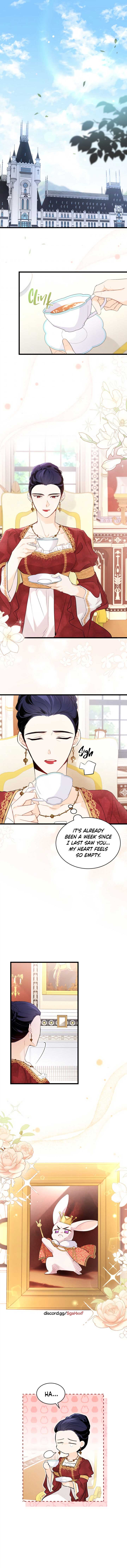 Read The Symbiotic Relationship Between the Rabbit and the Black Panther Manga Online