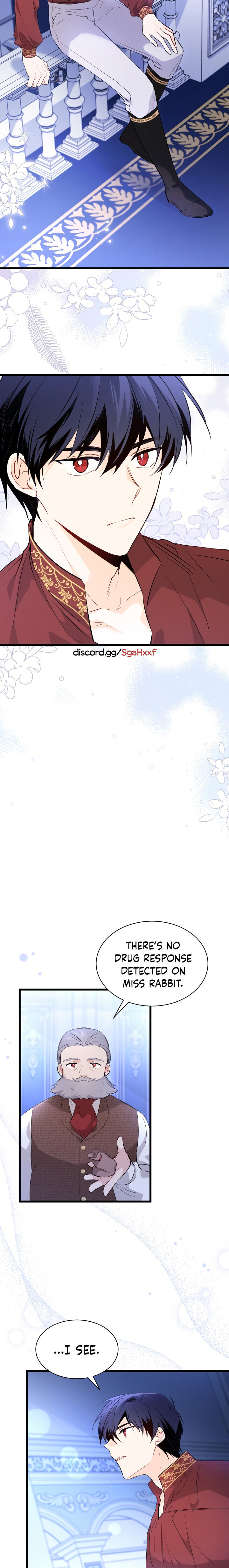 Read The Symbiotic Relationship Between the Rabbit and the Black Panther Manga Online