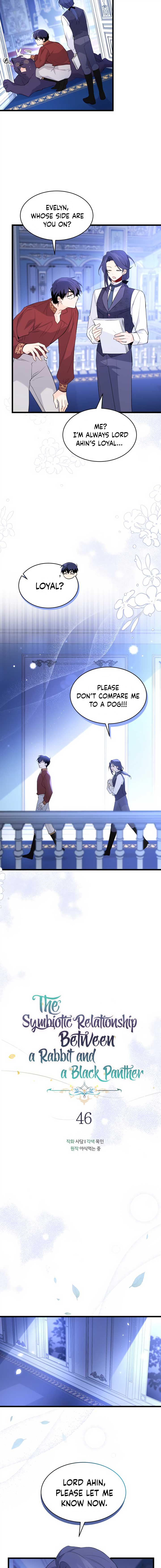 Read The Symbiotic Relationship Between the Rabbit and the Black Panther Manga Online