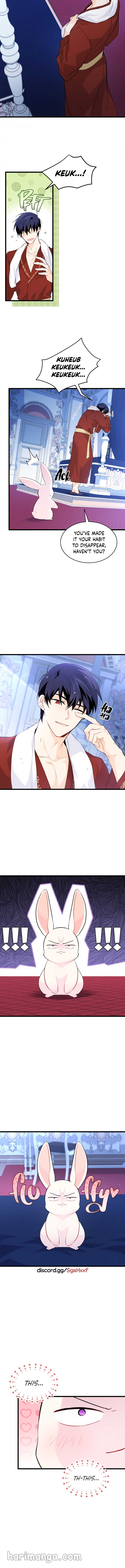 Read The Symbiotic Relationship Between the Rabbit and the Black Panther Manga Online