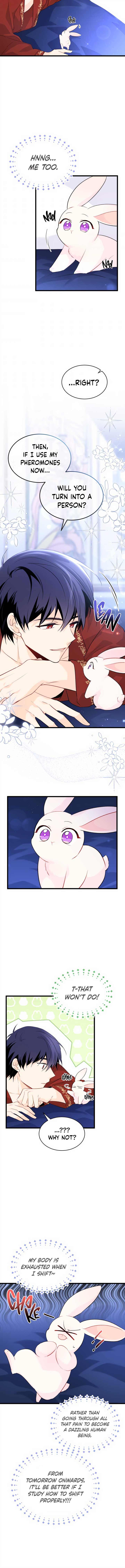 Read The Symbiotic Relationship Between the Rabbit and the Black Panther Manga Online