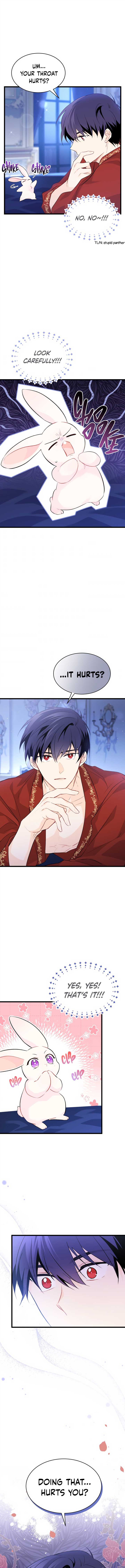 Read The Symbiotic Relationship Between the Rabbit and the Black Panther Manga Online