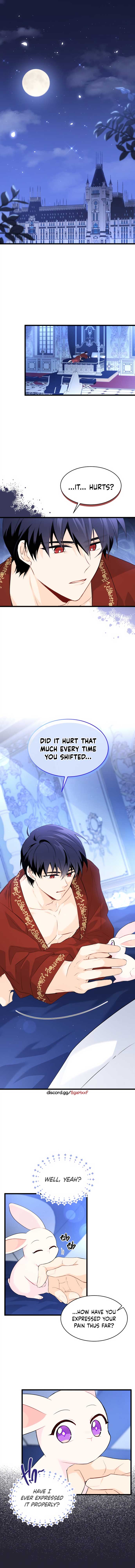 Read The Symbiotic Relationship Between the Rabbit and the Black Panther Manga Online