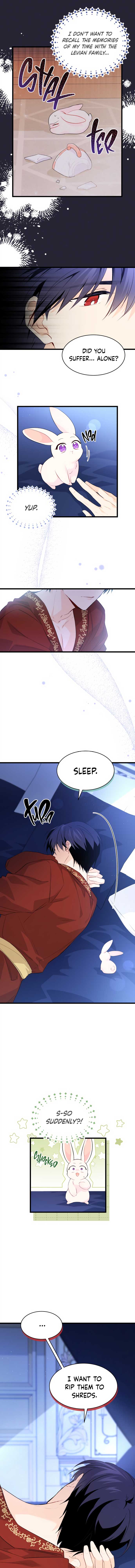 Read The Symbiotic Relationship Between the Rabbit and the Black Panther Manga Online