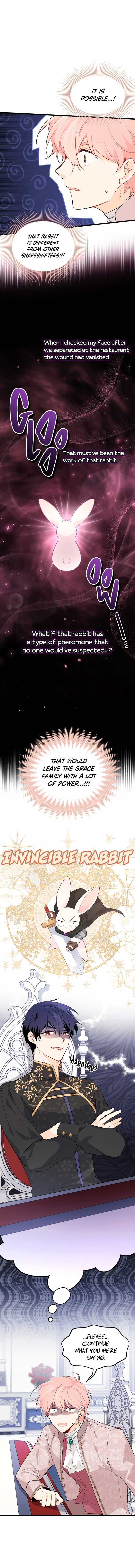 Read The Symbiotic Relationship Between the Rabbit and the Black Panther Manga Online