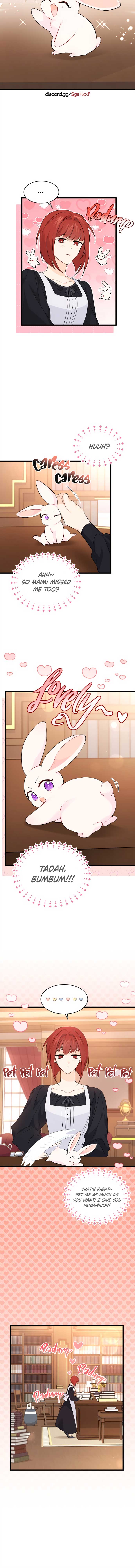 Read The Symbiotic Relationship Between the Rabbit and the Black Panther Manga Online