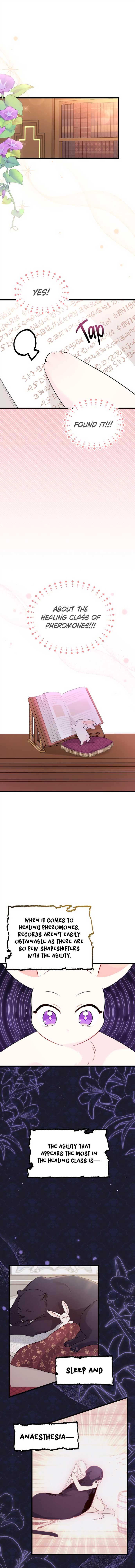 Read The Symbiotic Relationship Between the Rabbit and the Black Panther Manga Online