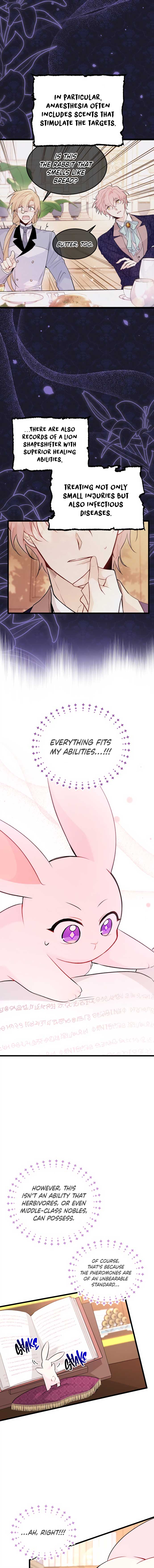 Read The Symbiotic Relationship Between the Rabbit and the Black Panther Manga Online