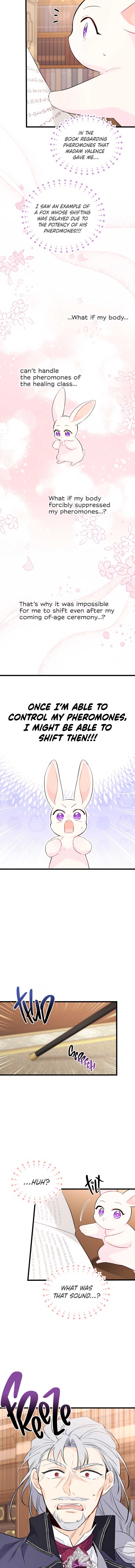 Read The Symbiotic Relationship Between the Rabbit and the Black Panther Manga Online