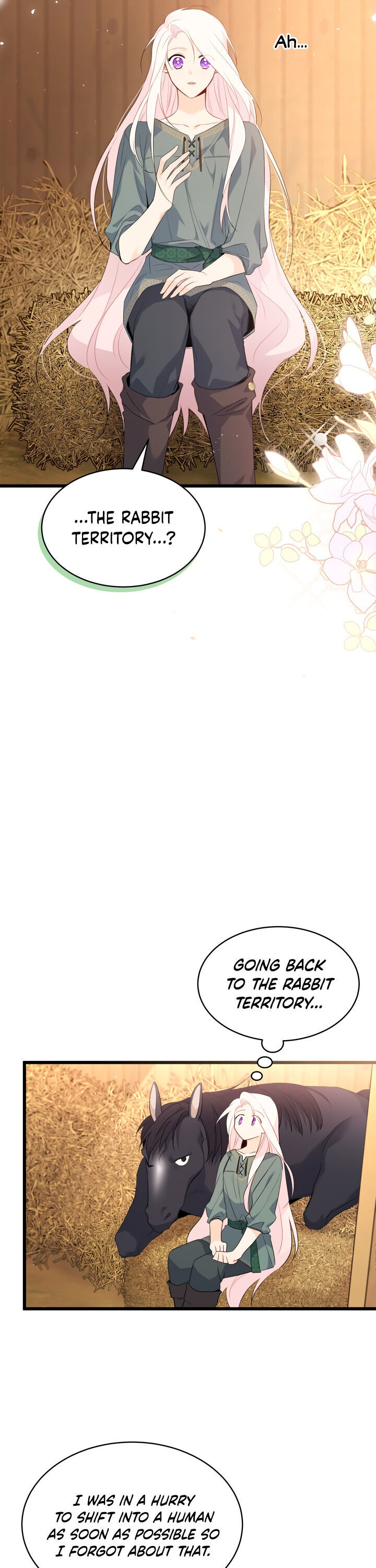 Read The Symbiotic Relationship Between the Rabbit and the Black Panther Manga Online