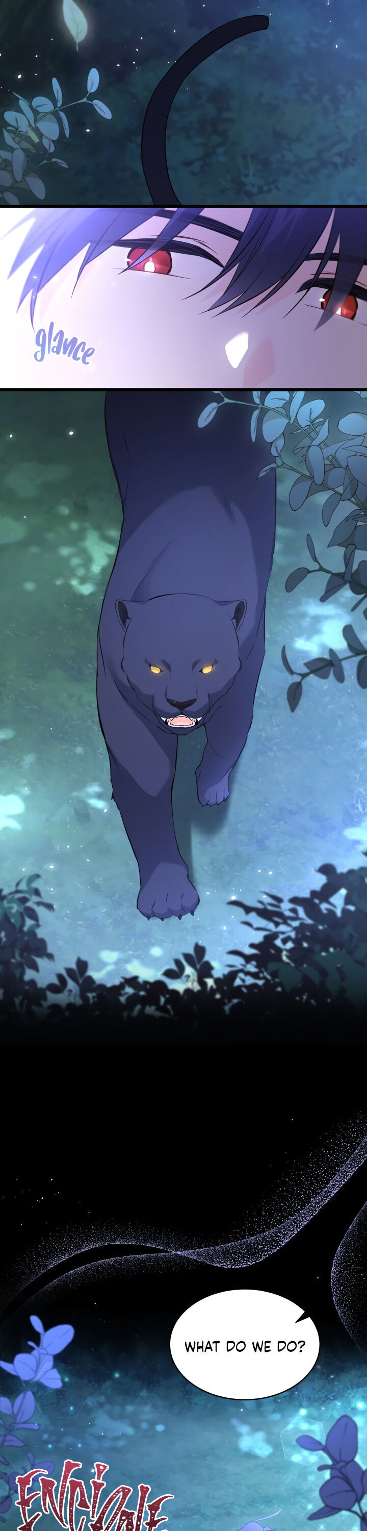 Read The Symbiotic Relationship Between the Rabbit and the Black Panther Manga Online