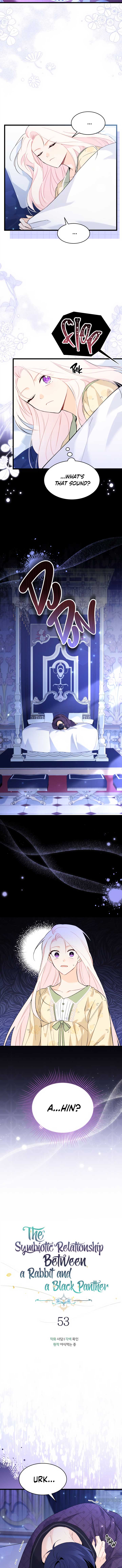 Read The Symbiotic Relationship Between the Rabbit and the Black Panther Manga Online