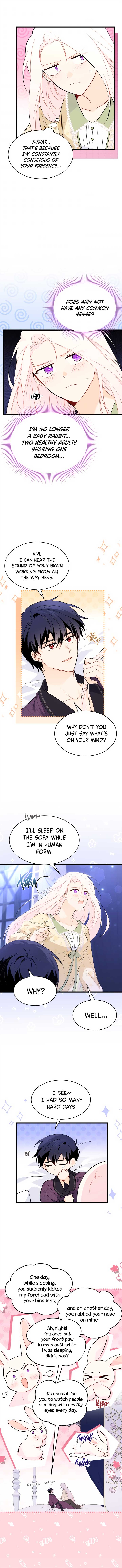 Read The Symbiotic Relationship Between the Rabbit and the Black Panther Manga Online